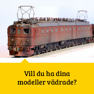 Vädrade modeller