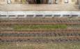 grass strips summer 5-6 m