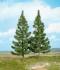 mountain spruces 17 cm / 