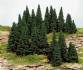 stick in spruces 5-7 cm /