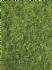 Statiskt gräs Dunkel