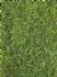 static wild grass dark gr