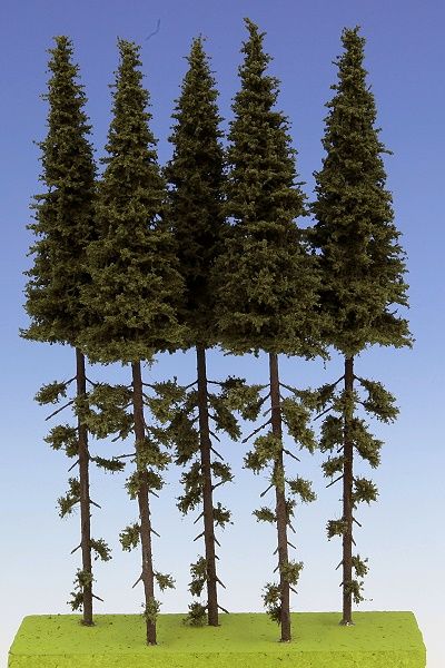 lagerxSpruce with trunk 230-270, Model-Scenes