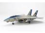 Grumman F-14D Tomcat 1:48