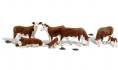 HO Hereford Cows