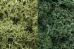 LICHEN Light Green Mix