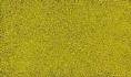TURF Yellow Grass