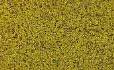 COARSE TURF Yellow Grass