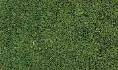 COARSE TURF Medium Green