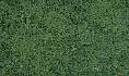 COARSE TURF Dark Green