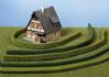 flexible  hedges light gr
