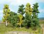leafy trees 10-18 cm / 40