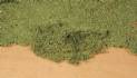 HEKI leaf-flor medium gre