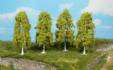 weeping birches 9 cm / 4 