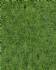 wild grass mat forest gro
