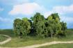leafy trees 8-13 cm / 12 