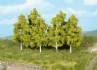 stick in birch trees 8 cm