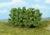 stick in alder trees 8 cm