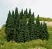 stick in spruces 5-14 cm 