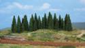 firs 4-7 cm / 30 pc
