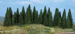 pine forest 5-12 cm / 40 