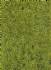 static grass XL spring 10