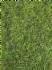 static grass XL summer 10